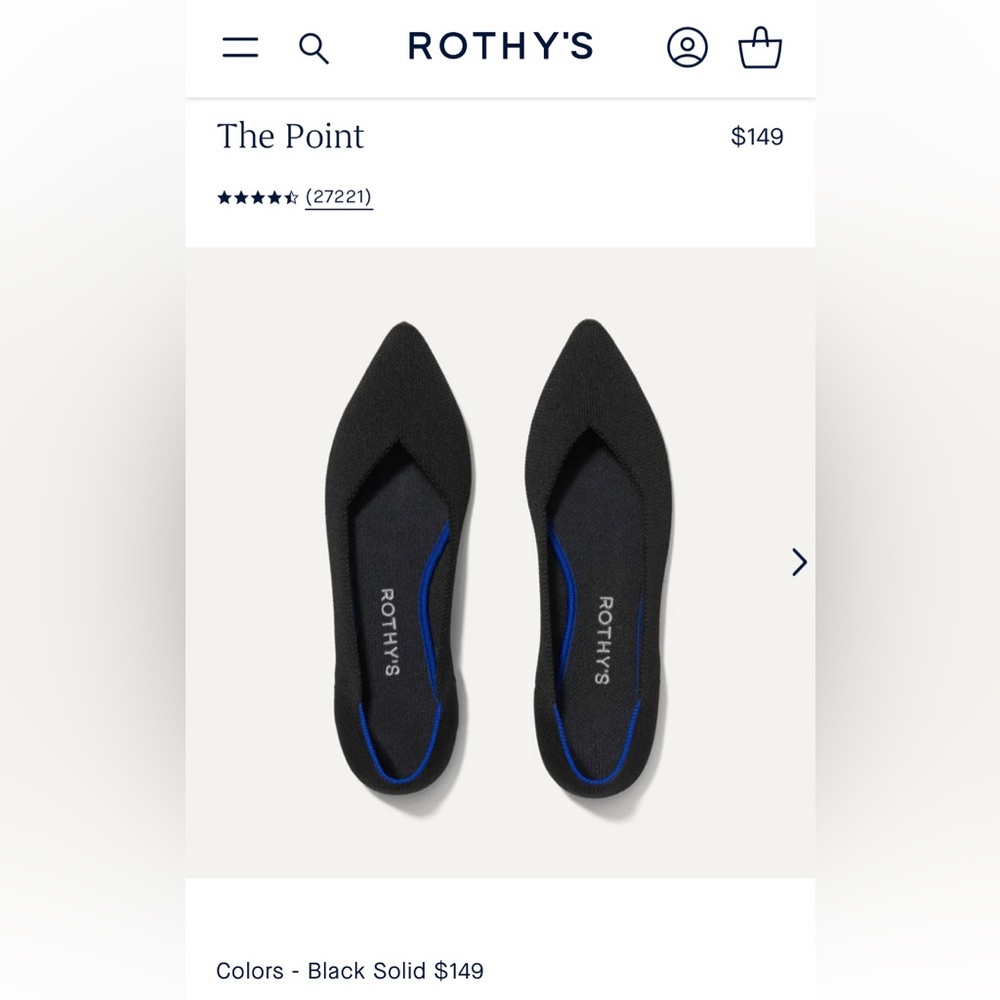 Rothy’s The Point Black 10